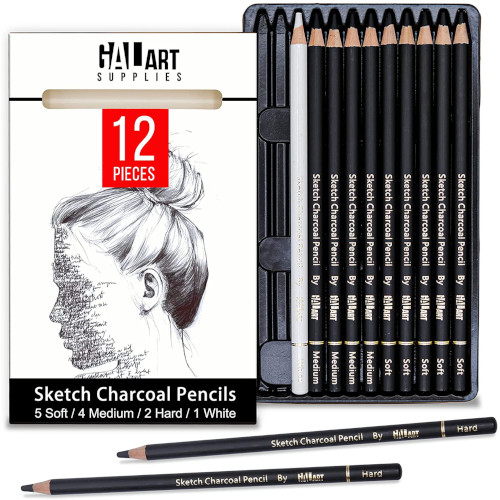 Beginners Shading 3 Pieces Soft Medium and Hard Drawing Pencils for Sketching 1 Piece Sharpener Include Artist Charcoal Pencils Set 